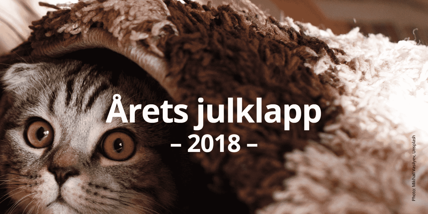Årets julklapp 2018 för katter: Fadderskap hos Uppsala Katthem