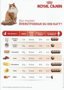 En tabell som visar på hur mycket energi olika smakbitar av människomat innebär för katt. T.ex. att två ostskivor motsvarar fem kanelbullar för en människa.