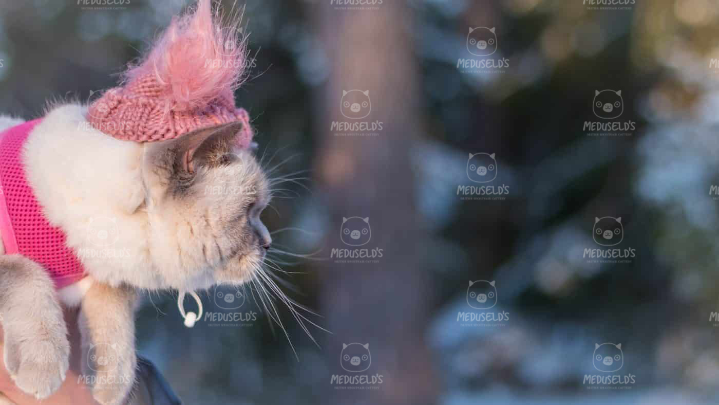 God jul alla där ute!