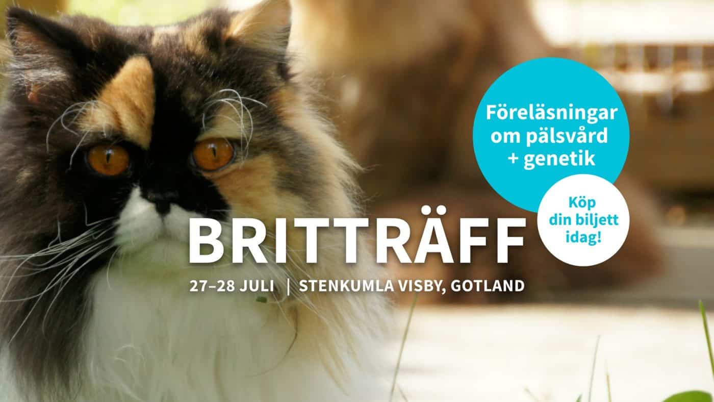 Inbjudan till Britträff med föreläsningar på Gotland i sommar (2019)!