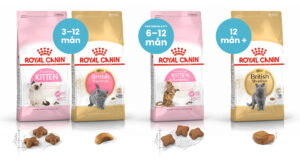 Torrfoderpåsar från Royal Canin, uppdelade efter ålder och ras samt fertilitet