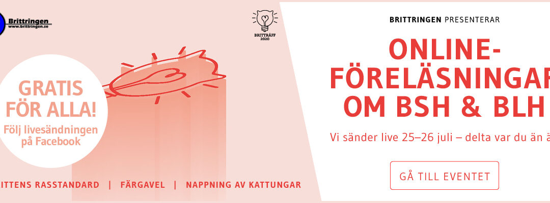 Brittringen & Britträff 2020 presenterar TRE föreläsningar som livesänds på Facebook!