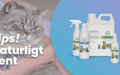 Rengör med naturliga microorganismer – perfekt för kattägare