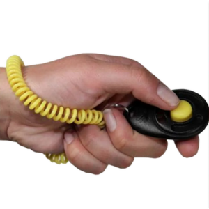 Positiv förstärkning med en clicker