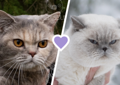 Briar ♥ Moses